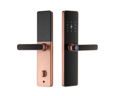 S819 スマート指紋ロック ジグビー バイオメトリック ドアロック
