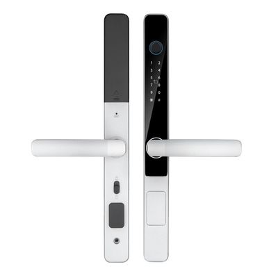 IP65 防水 スマート トゥイア Wifi リモコン コントロール TTロック アプリ デジタル ドアロック