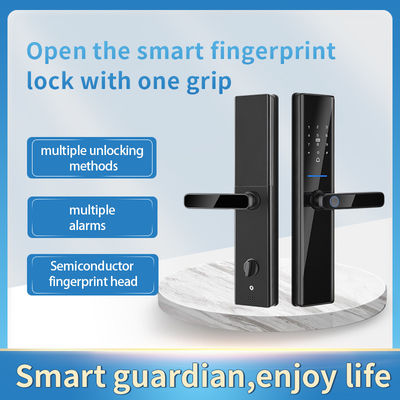 Tuya Wifi TTlock スマート指紋ロック 指紋ブロック 入り口ドアロック