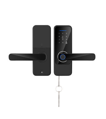 S810 インテリジェント指紋ロック Wifiキー シンプル ドアロック ツヤ指紋 TTロック スマートホーム ドアロック