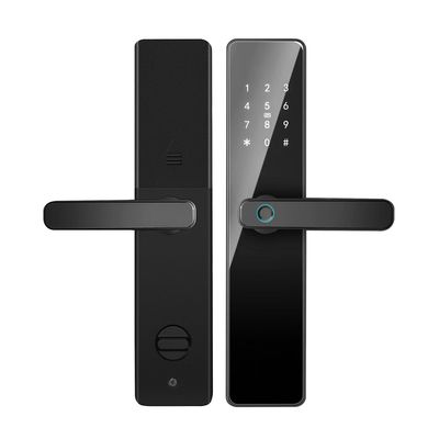 Qleung S819 アルミドア 指紋Wi-Fi 対応 トゥヤ TTロック パスワード付き カードキー