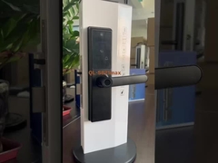 S821マックス カテージ